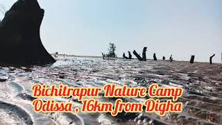 Bichitrapur Nature camp Odisha ll Place near Digha