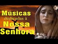 Lindos hinos de Nossa Senhora 2022😇🙏 Hino à Nossa Senhora da Conceição Aparecida Viva a Mãe de Deus😇