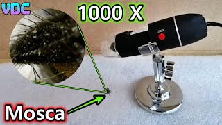 Microscopio digital  Económico de 1000 Aumentos - Me sorprendió  | VDC