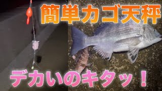 #69 【カゴ天秤釣り】足下で簡単に良型