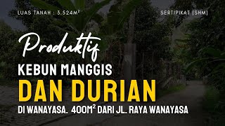 Jual Kebun Manggis & Durian Di Wanayasa Purwakarta.