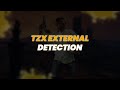 🔒 SecurGate | TZX EXTERNAL DETECTION | Best FiveM Anticheat 2025 | BETTER THAN FIVEGUARD