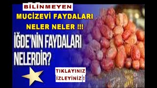 İĞDE VE İĞDE YAPRAĞININ FAYDALARI NELER NELER !!!