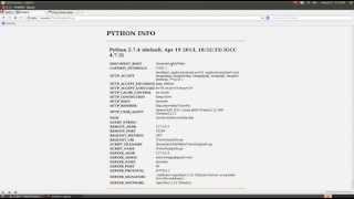 CGI CON PYTHON PYINFO.PY TP. 14