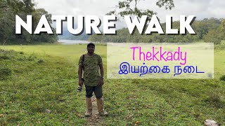 Thekkady Periyar Tiger Reserve Nature Walk தேக்கடி இயற்கை நடைப்பயணம் 4K Video from IPhone 14 Pro Max