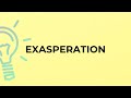 What is the meaning of the word EXASPERATION?