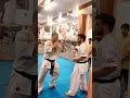 kyokushin shinkyokushin karate martialarts shorts shortsvideo 1kyokushin 一極真 極真会館