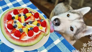 Watermelon Pizza For Dogs  🍉 DIY Dog Treats