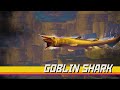 Goblin Shark Boss Fight - Dave the Diver