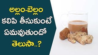 అల్లం బెల్లం కలిపి తింటే ఏమవుతుందో తెలుసా..? | Health Benefits of Ginger | Ginger Benefits |