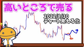 FX結局利益が出やすいところってどこ？【日刊チャート見える化2022/8/30(ドル円、ポンド円、ユーロドル、ポンドドル、ゴールド等)【FX見える化labo】