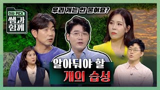 우리 개는 안 물어요? 알아둬야 할 개의 습성 [이슈 픽 쌤과 함께] 20200906 KBS 20200906 방송