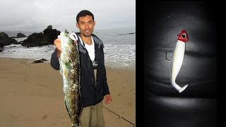 Low Tide Lingcod Fishing From the Surf