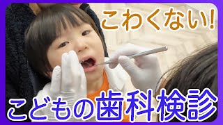 【怖くない！】子供の歯科検診に潜入してみた