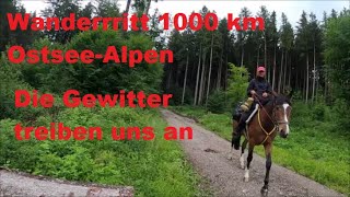 Wanderritt Doku 1000 km von der Ostsee in die Alpenritt Teil 8 - Gewitter treiben uns weiter an