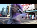 fursuiting experience with aurora