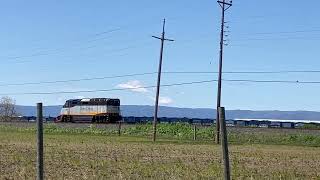 Amtrak 541 returns to Oakland after vehicle collision with Amtrak 531.