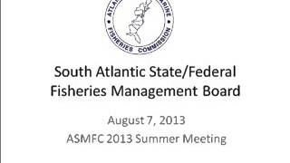 ASMFC Summer Meeting 2013 - South Atlantic Board