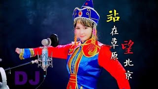 动感DJ《站在草原望北京》，欢快好听，忍不住单曲循环！