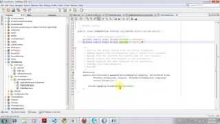 Creating Struts 1.3.8 Project using NetBeans IDE