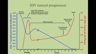 Managing the Patient with HIV - CRASH! Medical Review Series