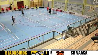 Maalikooste: Blackbirds - SB Vaasa (14-6) | P22 1. Div