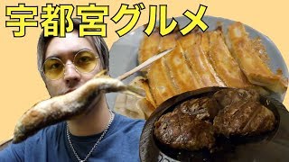 iamVLOG #7【宇都宮グルメTOUR編】#ばくだんハンバーグ #鮎の塩焼き #餃子のみんみん