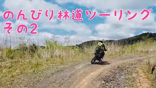 のんびり林道ツーリングその２