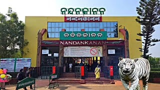 Join me at Nandankanan Zoo to explore amazing wildlife, nature, and fun moments! Watch now!