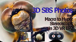 3D photos from Macro to Hyper Stereoscopic in VR3D EP02