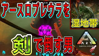 初心者向け？ 2/22〜復刻ダンジョン攻略！湿地帯 【ARKモバイル】 #164