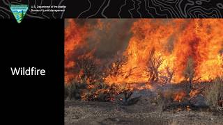 Great Basin Fuels Reduction and Rangeland Restoration Public Presentation