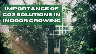 CO2 Solutions for Indoor Grow Facilities