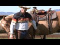 the proper way to cinch a saddle www.thinklikeahorse.org rick gore horsemanship