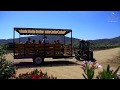 EL CIELO VALLE DE GUADALUPE - FIESTAS DE LA VENDIMIA 2017