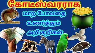 கோடீஸ்வரராக மாறபோவதை உணர்த்தும் அறிகுறிகள்|அதிர்ஷ்டம் வரப்போவதை உணர்த்தும்அறிகுறிகள்|அதிர்ஷ்டஅறிகுறி