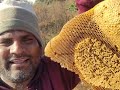 honey s amazing natural benefits స్వచ్ఛమైన తేనె