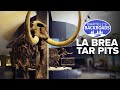 The hidden beasts preserved in LA's La Brea Tar Pits | Bartell's Backroads