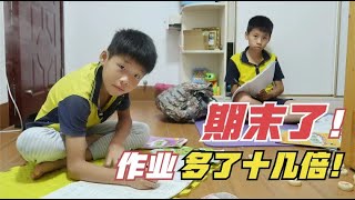 期末了为迎接考试，作业多了好几倍，兄弟俩一晚上都在写作业【希乐同学】