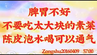 卢台长开示：脾胃不好，不要吃太大块的素菜；陈皮泡水喝可以通气zongshu20160409  57:00