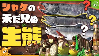 【考察】愉快なイキモノ！シャケの未だ見ぬ姿を鮭の生態から考える - Splatoon3 サーモンラン【SPLABO!】