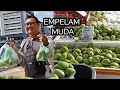 Beli Buah empelam muda Di Market sibu selepas SIAP atur motosikal ke bengkel #tontonsampehabis