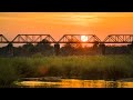 African bush sounds | Sabie River #2, Kruger National Park, South Africa- Night safari sounds 🌍 121