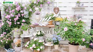 🕊Garden Tour🕊99：女の子のお部屋をイメージした鉢やガーデン雑貨のディスプレイスペースに、庭全体の配色バランスにこだわった花壇など。どこを切り取っても素敵な空間になるように植栽されたお庭