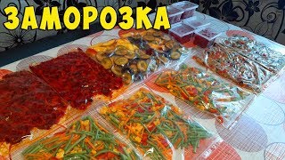 Заморозка ОВОЩЕЙ, ФРУКТОВ и ЯГОДЫ на зиму Часть 4