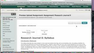 ENG 3010 Research Journal Assignment and Wordpress Overview