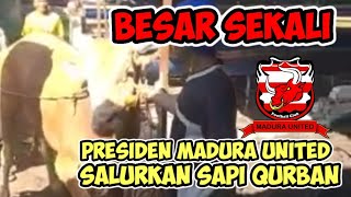 Hari Raya Idul Adha|| Inilah Sapi Kurban Presiden Madura United Prof Achsanul Qosasi
