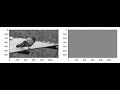 numpy 2D FFT for image processing
