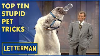 Top Ten Stupid Pet Tricks | Letterman