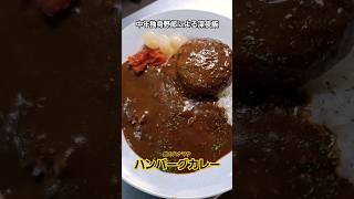 #肉のハナマサ #ハンバーグカレー #深夜飯 #shorts